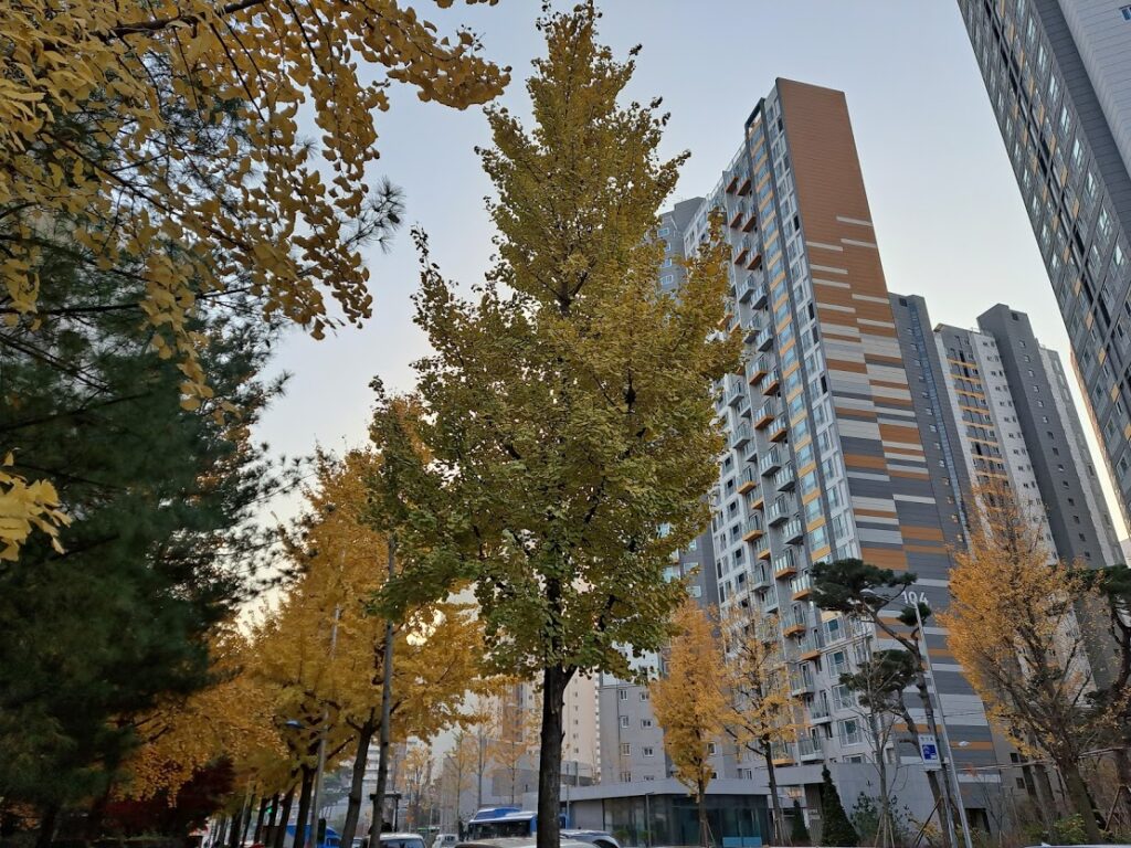 LH 개발·주거복지 기능 분리 추진…2개 공사 재편안, 청약·임대는 당장 무엇을 확인해야 하나