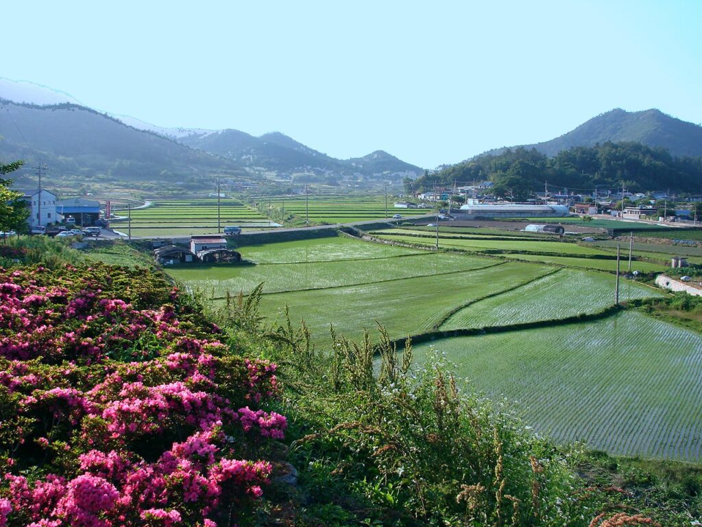2027 농촌공간정비사업 9월7일~11월20일 공모…5년 최대 150억원, 빈 축사·공장 정비