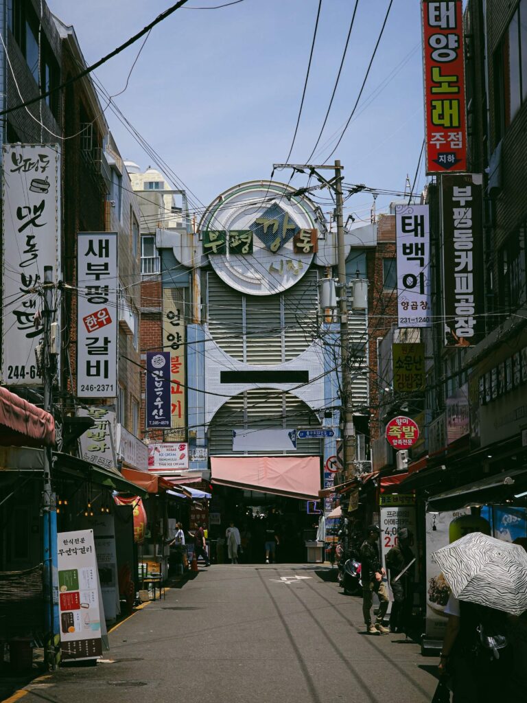 추석 농축산물 할인 9월 3~23일 최대 40%, 590억원 투입…성수품 16.3만톤 공급